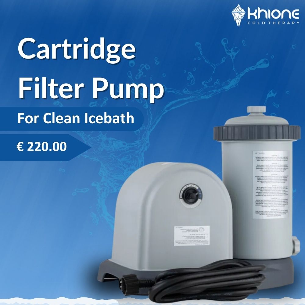 Cartridge Filter Pump